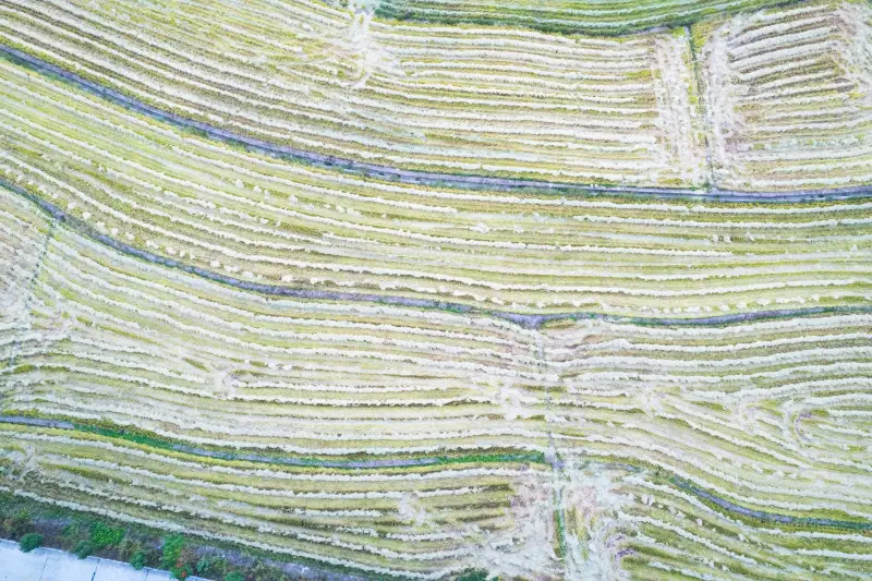 绍兴循道非遗研学基地体验项目全流程及配套服务介绍
