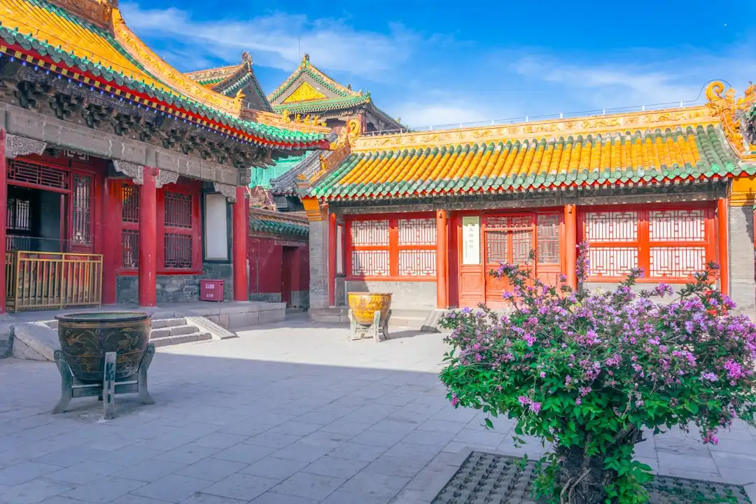 绍兴循道非遗展演落地研学基地,沉浸式体验激活古城文化记忆正文配图 2